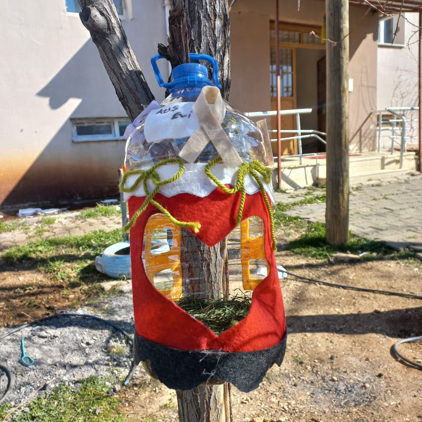 Proje
